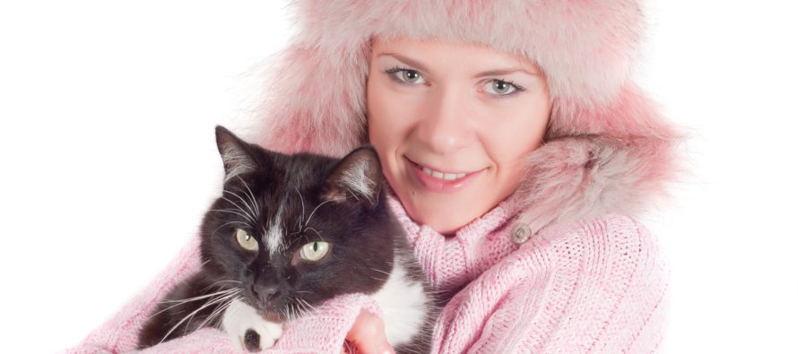8 sellaista faktaa kissoista, jotka yllättävät jopa kissojen ystäviä