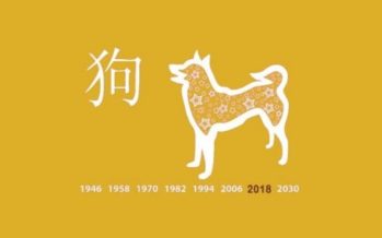 PERUSTEELLINEN kiinalainen horoskooppi vuodelle 2018: Katso, mitä 15. helmikuuta alkava Koiran vuosi tuo sinulle tullessaan